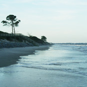 Jekyll Island Beach